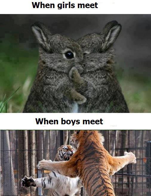 when girls meet vs when boys meet