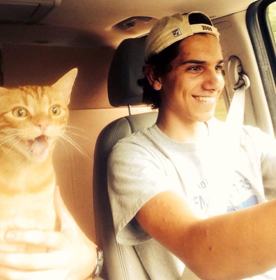 When people learn driving and what animal reaction