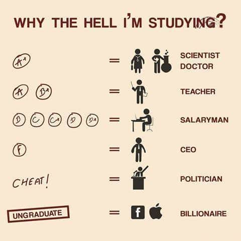 Why the hell I am studying?