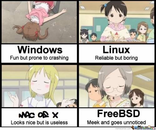 windows and linux vs mac and freeBSD
