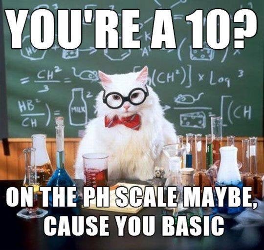 You are a 10?
